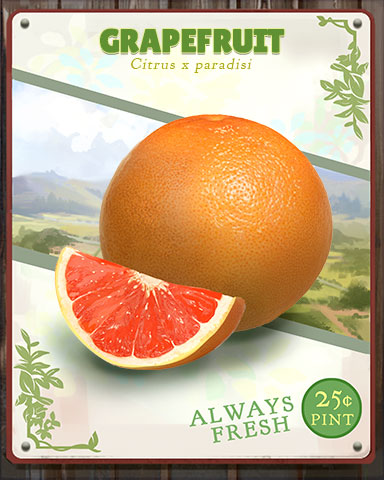 Grapefruit Produce Badge - Spades HD Grapefruit Produce Badge - Spades HD