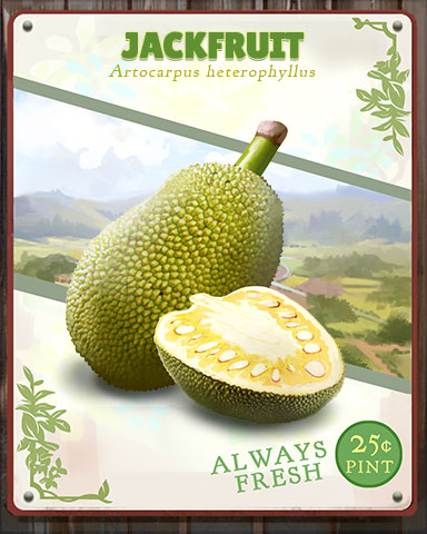 Jackfruit Produce Badge - Pogo Daily Sudoku Jackfruit Produce Badge - Pogo Daily Sudoku