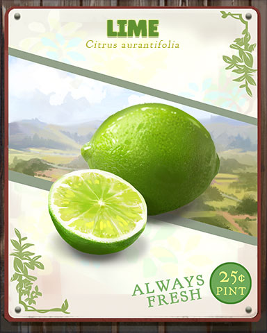 Lime Produce Badge - Canasta HD Lime Produce Badge - Canasta HD