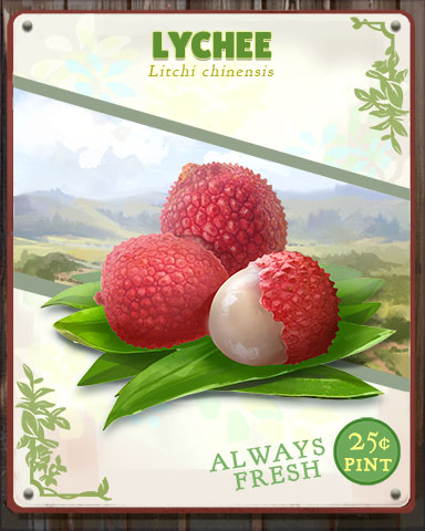 Lychee Produce Badge - Jet Set Solitaire Lychee Produce Badge - Jet Set Solitaire