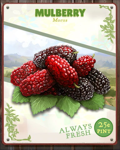 Mulberry Produce Badge - Anagrams Mulberry Produce Badge - Anagrams