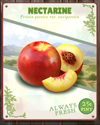 Nectarine Produce Badge - Tumble Bees HD Nectarine Produce Badge - Tumble Bees HD