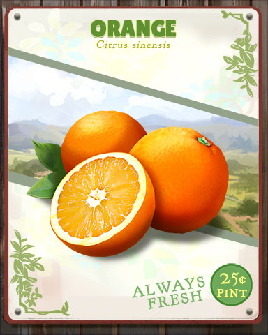 Orange Produce Badge - Cookie Connect Orange Produce Badge - Cookie Connect