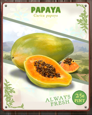 Papaya Produce Badge - Quinn's Aquarium Papaya Produce Badge - Quinn's Aquarium