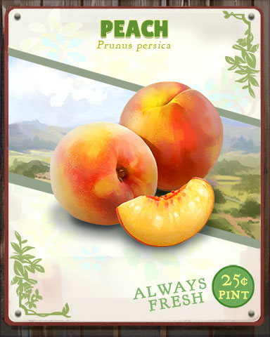 Peach Produce Badge - Canasta HD Peach Produce Badge - Canasta HD
