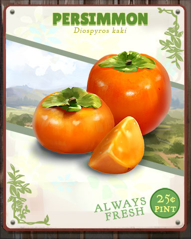 Persimmon Produce Badge - Tri-Peaks Solitaire HD Persimmon Produce Badge - Tri-Peaks Solitaire HD