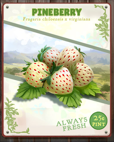 Pineberry Produce Badge - Pogo Daily Sudoku Pineberry Produce Badge - Pogo Daily Sudoku
