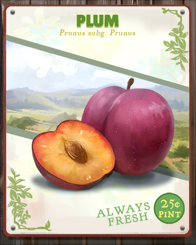 Plum Produce Badge - Pogo Addiction Solitaire HD Plum Produce Badge - Pogo Addiction Solitaire HD