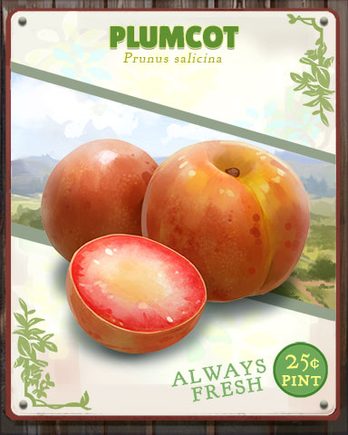 Plumcot Produce Badge - Snowbird Solitaire Plumcot Produce Badge - Snowbird Solitaire