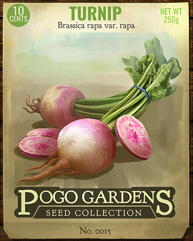 Turnip Badge - Cookie Connect Turnip Badge - Cookie Connect