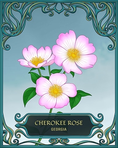 Georgia State Flowers Badge - Garden Blast Georgia State Flowers Badge - Garden Blast