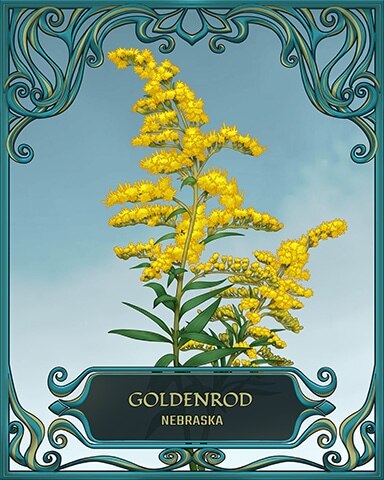 Nebraska State Flowers Badge - Mahjong Safari HD