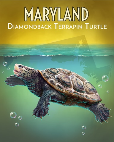 Diamondback Terrapin Turtle Wild America Badge - Tri-Peaks Solitaire HD Diamondback Terrapin Turtle Wild America Badge - Tri-Peaks Solitaire HD