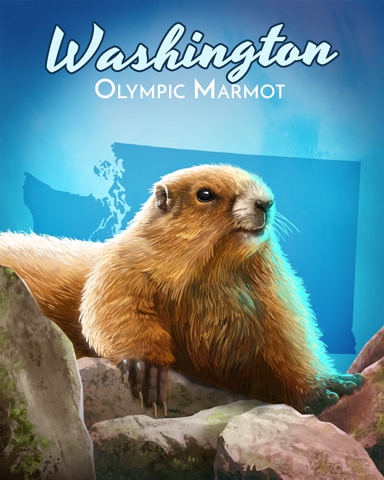 Olympic Marmot Wild America Badge - Word Whomp HD Olympic Marmot Wild America Badge - Word Whomp HD