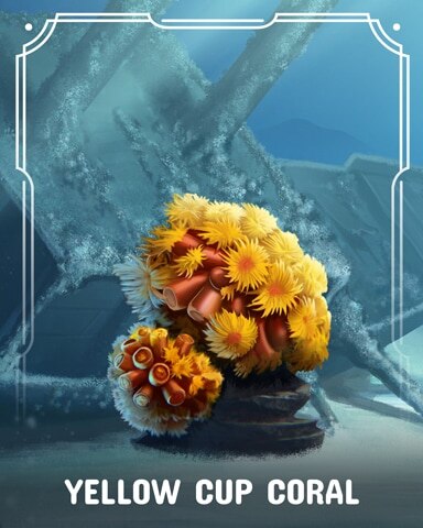 Yellow Cup Corals Badge - First Class Solitaire HD Yellow Cup Corals Badge - First Class Solitaire HD