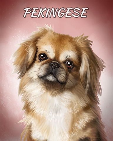 Pekingese Badge - Slingo Blast Pekingese Badge - Slingo Blast