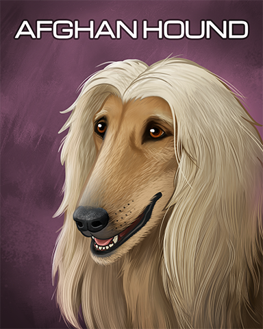 Afghan Hound Badge - Slingo Blast Afghan Hound Badge - Slingo Blast