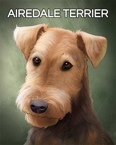 Airedale Terrier Badge - Canasta Airedale Terrier Badge - Canasta