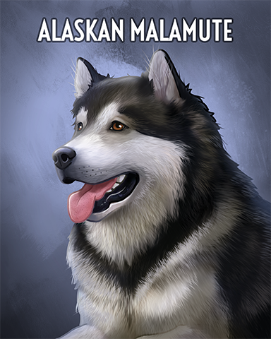 Alaskan Malamute Badge - Turbo 21 HD Alaskan Malamute Badge - Turbo 21 HD
