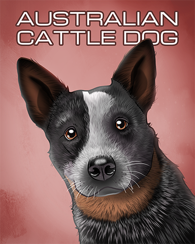 Australian Cattle Dog Badge - Mahjong Garden HD Australian Cattle Dog Badge - Mahjong Garden HD