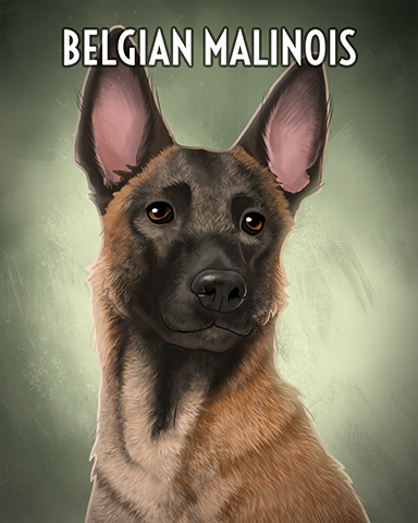 Belgian Malinois Badge - Spades Belgian Malinois Badge - Spades