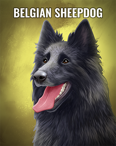 Belgian Sheepdog Badge - Peggle Slots Belgian Sheepdog Badge - Peggle Slots