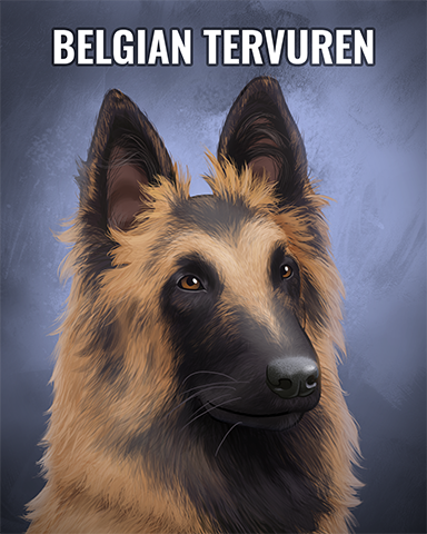 Belgian Tervuren Badge - Claire Hart: Secret In The Shadows Belgian Tervuren Badge - Claire Hart: Secret In The Shadows