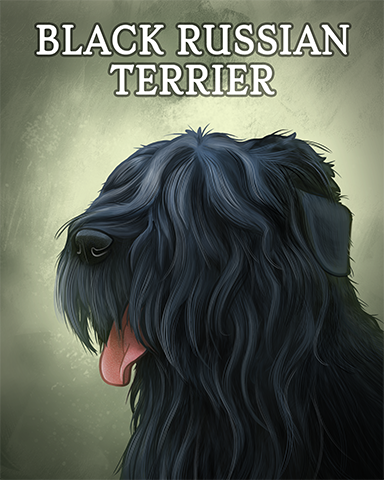Black Russian Terrier Badge - Pogo Daily Sudoku Black Russian Terrier Badge - Pogo Daily Sudoku