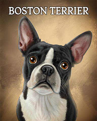 Boston Terrier Badge - Hog Heaven Slots Boston Terrier Badge - Hog Heaven Slots
