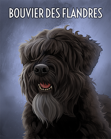 Bouvier Des Flandres Badge - Undiscovered World Bouvier Des Flandres Badge - Undiscovered World