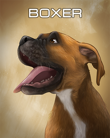 Boxer Badge - Vanishing Trail Boxer Badge - Vanishing Trail