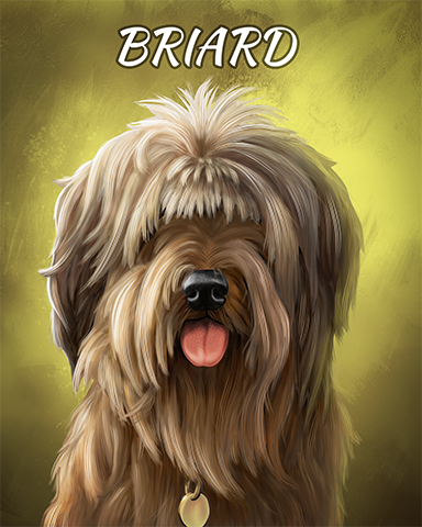 Briard Badge - Mahjong Safari HD Briard Badge - Mahjong Safari HD