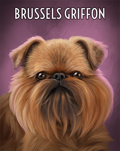 Brussels Griffon Badge - Payday Freecell HD Brussels Griffon Badge - Payday Freecell HD