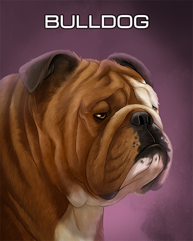 Bulldog Badge - Solitaire Gardens Bulldog Badge - Solitaire Gardens