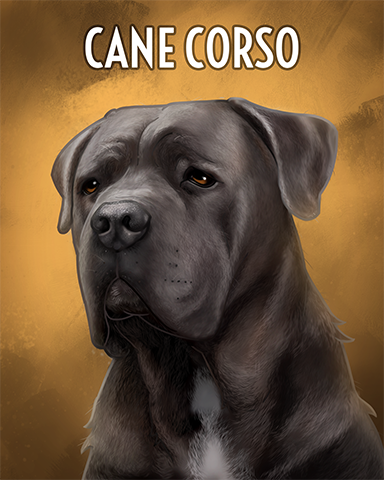 Cane Corso Badge - Everyone Wins Bingo Cane Corso Badge - Everyone Wins Bingo