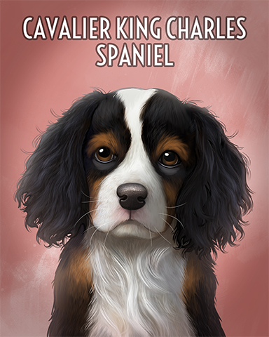Cavalier King Charles Spaniel Badge - Jungle Gin Cavalier King Charles Spaniel Badge - Jungle Gin