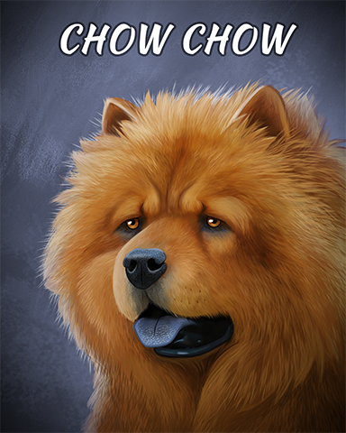 Chow Chow Badge - Poppit! Sprint Chow Chow Badge - Poppit! Sprint