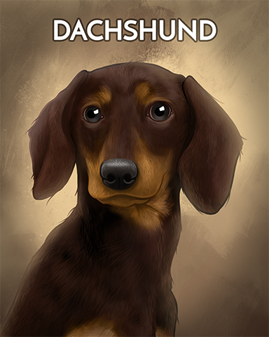 Dachshund Badge - Bingo Luau Dachshund Badge - Bingo Luau