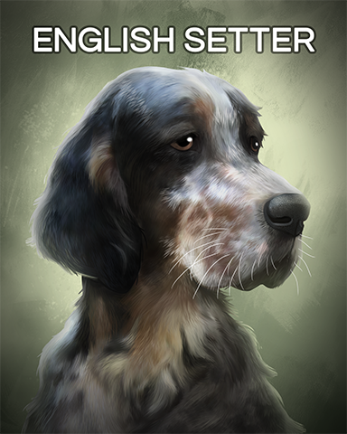 English Setter Badge - Postcards From Britain English Setter Badge - Postcards From Britain