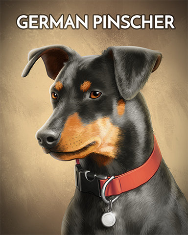 German Pinscher Badge - Rainy Day Spider Solitaire HD German Pinscher Badge - Rainy Day Spider Solitaire HD