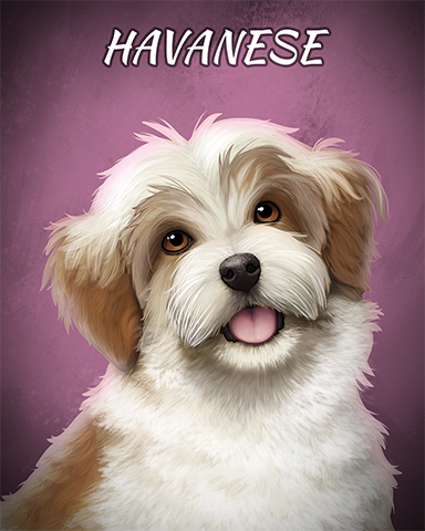 Havanese Badge - Big City Adventure Havanese Badge - Big City Adventure