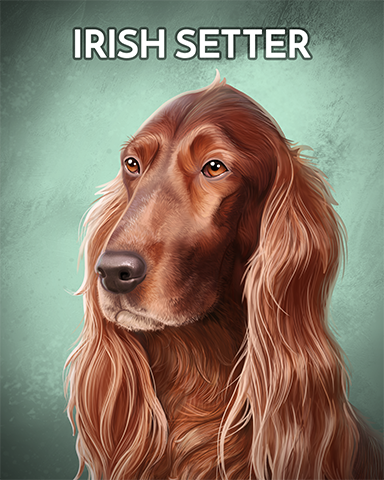Irish Setter Badge - Poppit! Sprint Irish Setter Badge - Poppit! Sprint