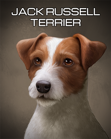 Jack Russell Terrier Badge - Pogo™ Sudoku Jack Russell Terrier Badge - Pogo™ Sudoku