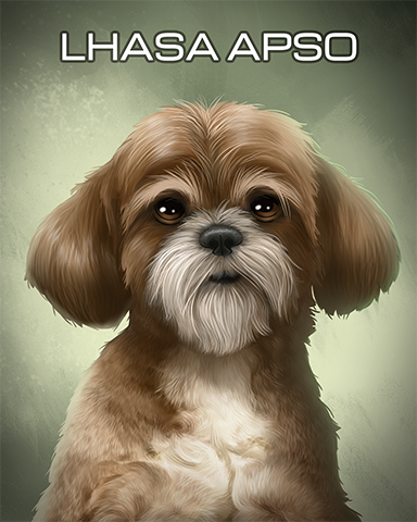 Lhasa Apso Badge - Undiscovered World Lhasa Apso Badge - Undiscovered World