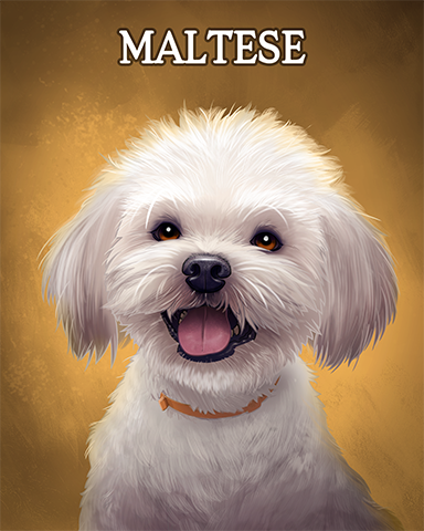 Maltese Badge - Pogo Daily Sudoku Maltese Badge - Pogo Daily Sudoku
