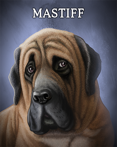 Mastiff Badge - Aces Up! HD Mastiff Badge - Aces Up! HD