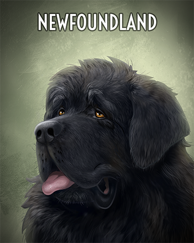 Newfoundland Badge - Word Search Daily HD Newfoundland Badge - Word Search Daily HD