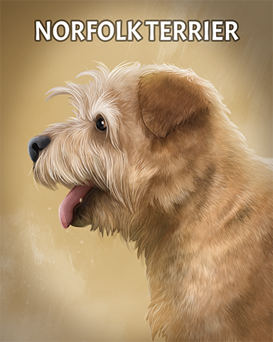 Norfolk Terrier Badge - Mahjong Garden HD Norfolk Terrier Badge - Mahjong Garden HD