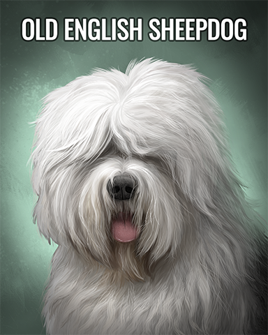 Old English Sheepdog Badge - Jungle Gin Old English Sheepdog Badge - Jungle Gin