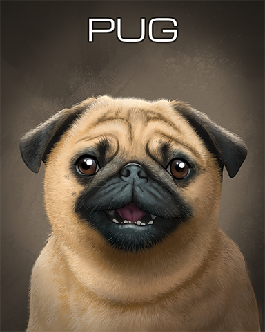 Pug Badge - Cross Country Adventure Pug Badge - Cross Country Adventure